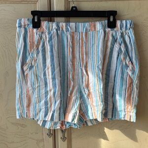 Briggs New York Multicolor Striped Shorts